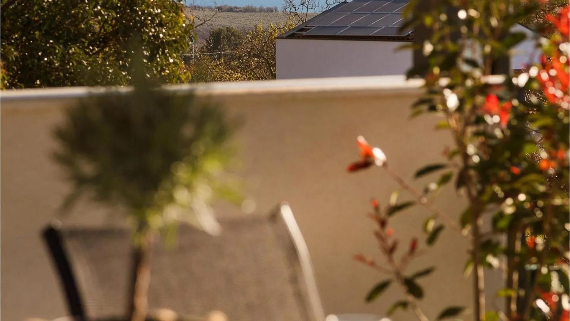 Villa Ella Tar-Vabriga Holiday home